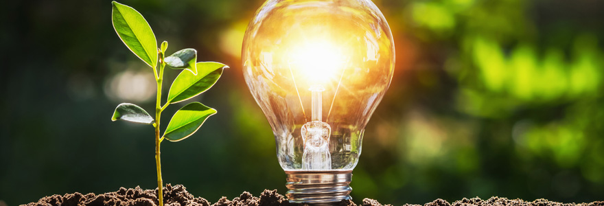 en-quoi-consiste-l-electricite-verte